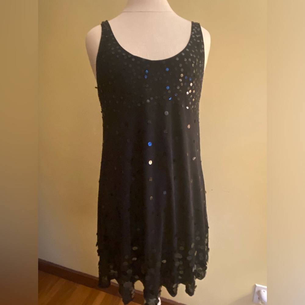 Beautiful Black sequined dots double lined dress